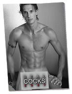 Pin-up Kalender „Real Cocks 2027“ im Großformat