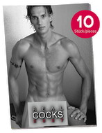 Pin-up Kalender „Real Cocks 2027“ im 10er-Pack