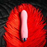 Minivibrator „Maison Tabou“ mit starker Vibration (7 Modi)