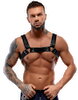 Harness aus Leder