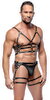 Brust-Harness plus Hüft-Harness aus Leder