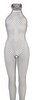 Netz-Catsuit ouvert