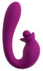 Vibrator mit Doppelrotation