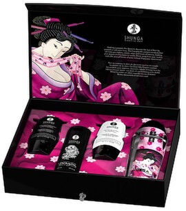 4-teiliges Set „Naughty Kit Ensemble Coquin“