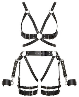 Hauptbild von Harness-Set aus Leder