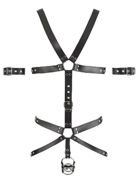 Harness aus Leder mit 3 Penis-/Hodenringen