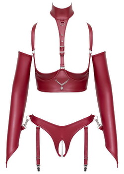 Hauptbild von Ouvert-Set im Bondage-Style