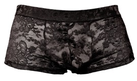 Hauptbild von Pants aus Blütenspitze