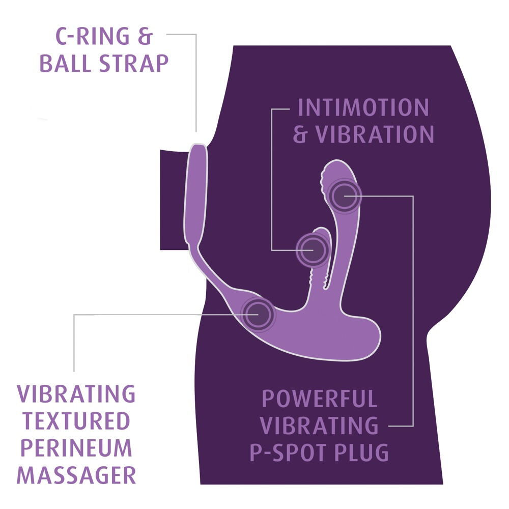 Analvibrator „Ass-Gasm IntiMotion“ mit Fernbedienung