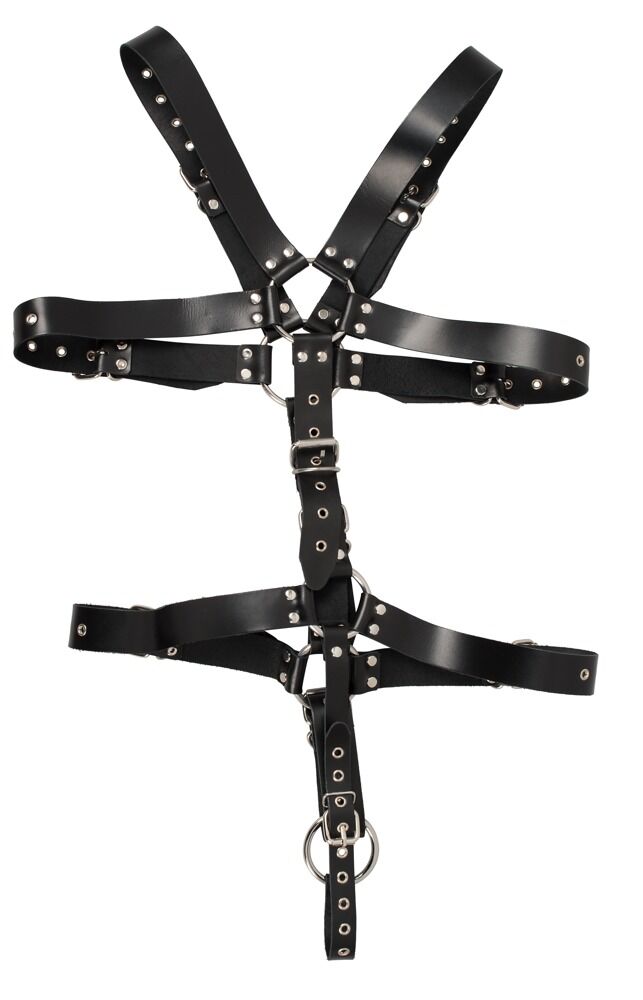 Harness aus Leder