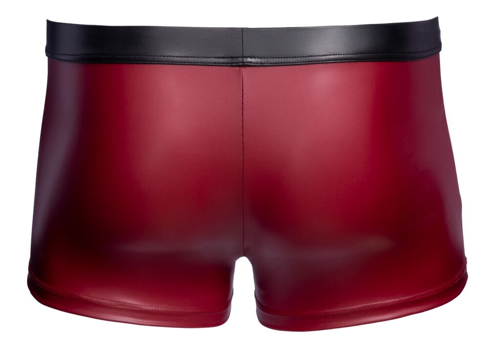 Pants im 2-farbigen Mattlook