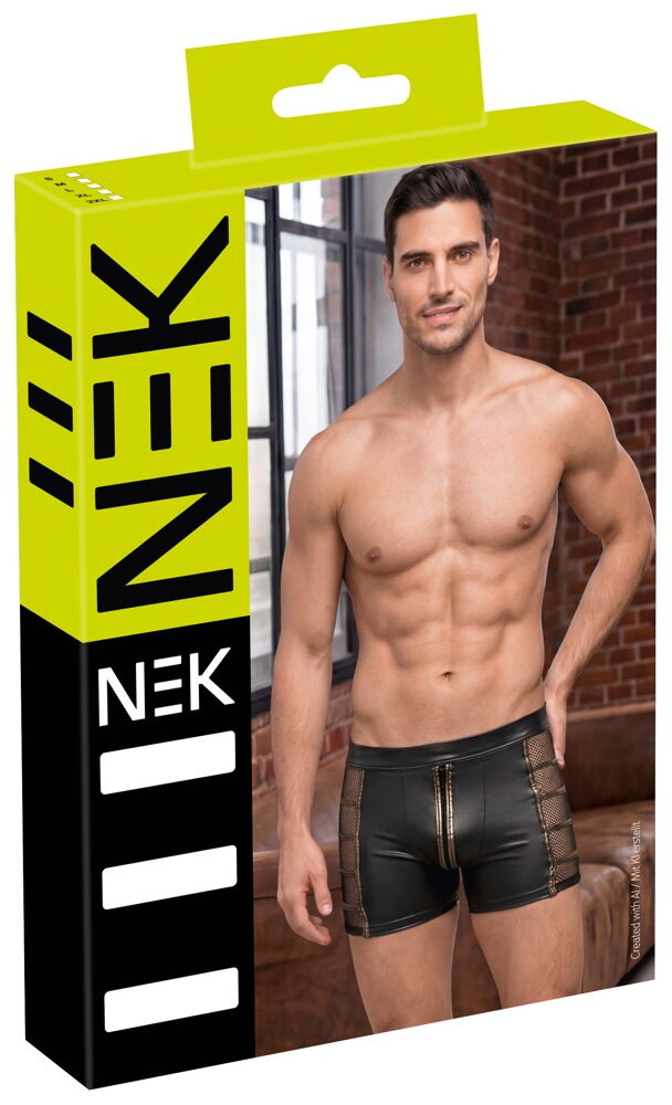Pants im Wetlook mit Netz-Einsätzen