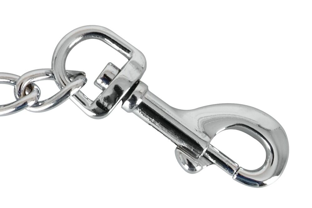 Metallkette mit Karabinern