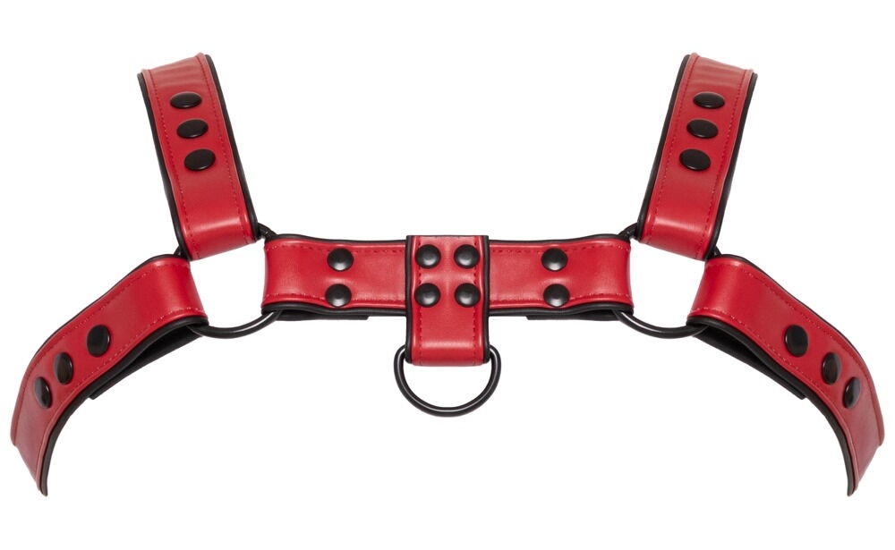 Brustharness in markanter Lederoptik