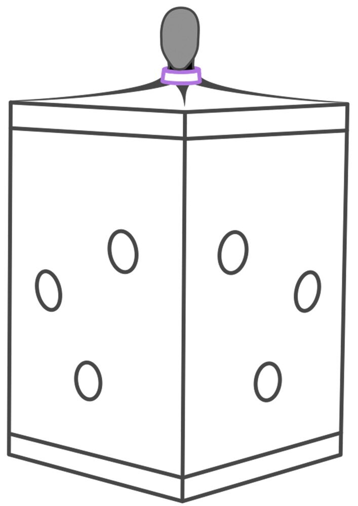 BDSM-Kabine „Scandale“ zum Selbstaufbau
