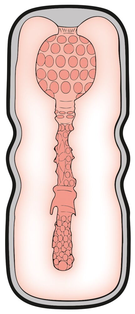 Masturbator im lebensechten Style & Feel