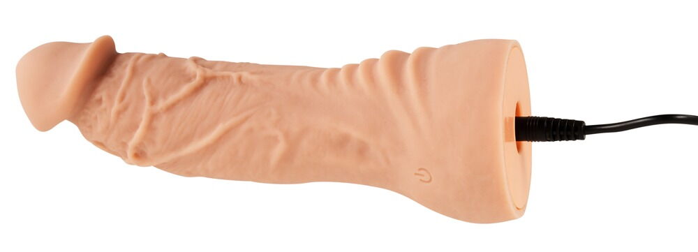 4-teiliges Strap-on-Set inklusive RC-Vibrator und 2 Dildos