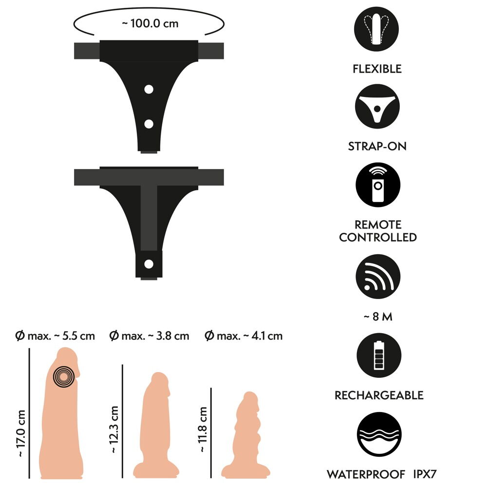 4-teiliges Strap-on-Set inklusive RC-Vibrator und 2 Dildos