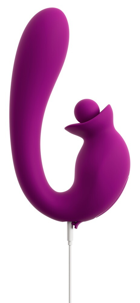 Vibrator mit Doppelrotation